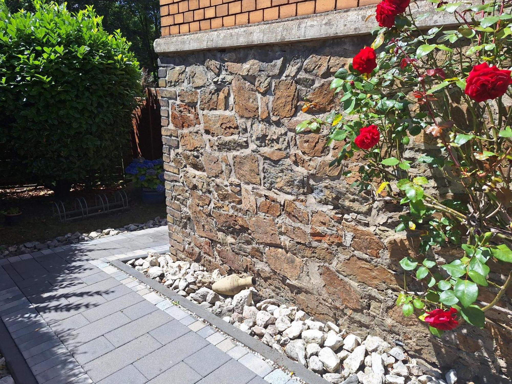 Ferienwohnung Reif&Buffi Lahnstein Exterior foto